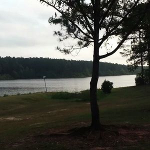 Meet your Posher, Jerry